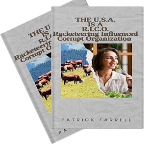 The U.S.A. Is a R.I.C.O: Racketeering Influenced Corrupt Organization